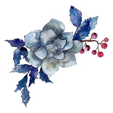 Etli çiçek mavi yaprakları ile. İzole buket illüstrasyon öğesi. Suluboya arka plan illüstrasyon seti.