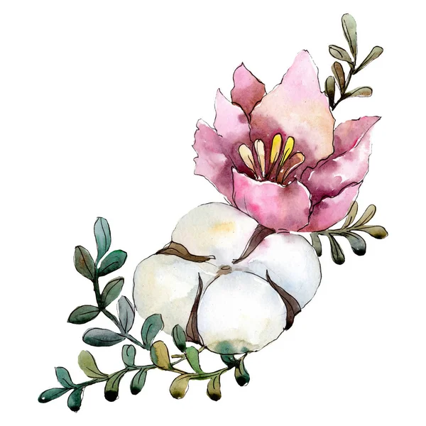 Cotton and pink flower bouquet with green leaves. Isolated bouquet illustration. Watercolor background illustration set.
