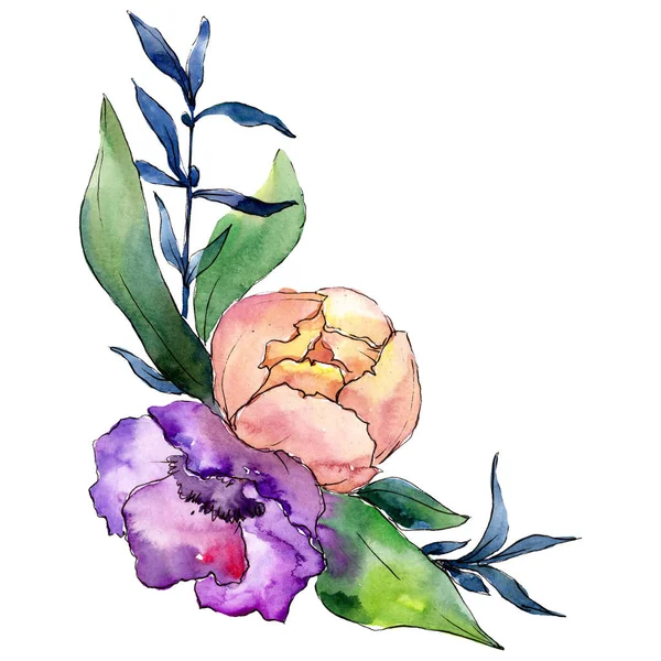 Pivoine violette et rose aux feuilles vertes. Elément d'illustration de bouquet isolé. Ensemble d'illustration de fond aquarelle . — Photo