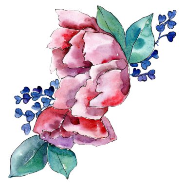 Yeşil yaprakları ile kırmızı çiçekler. İzole buket illüstrasyon öğesi. Suluboya arka plan illüstrasyon seti.