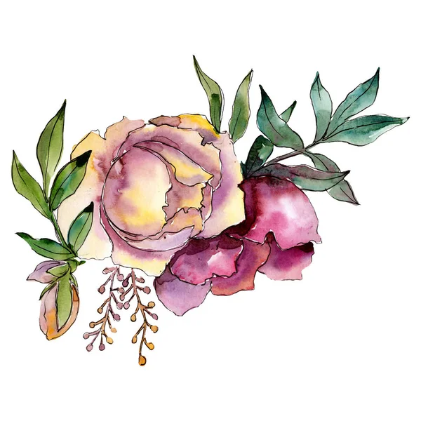 Fiori di peonia viola con foglie verdi. Elemento di illustrazione del bouquet isolato. Acquerello sfondo illustrazione set . — Foto Stock