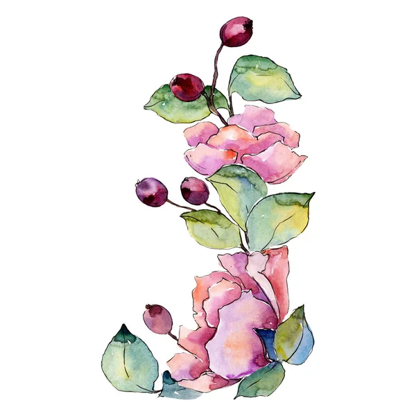 Pink flowers with green leaves. Isolated bouquet illustration element. Watercolor background illustration set. — Stock Photo, Image