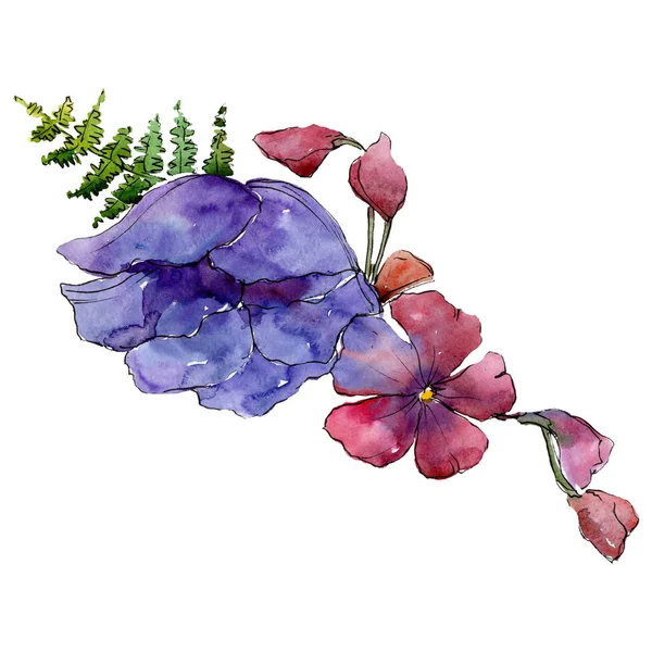 Fiori viola e rossi con foglie verdi. Bouquet isolato. Acquerello sfondo illustrazione set . — Foto Stock