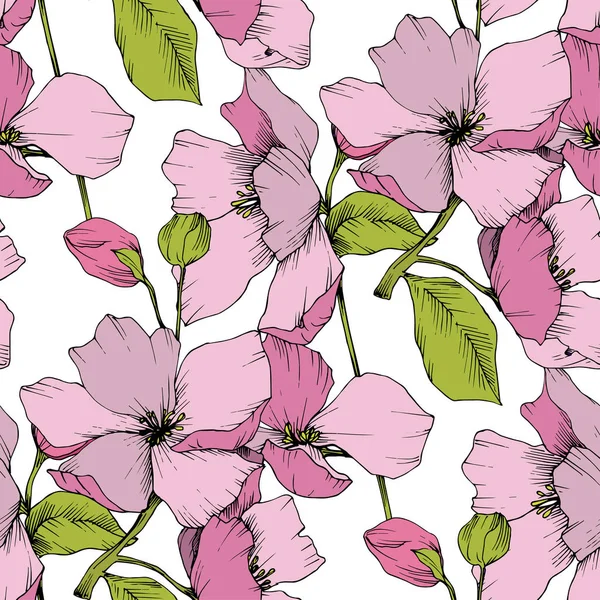 Vector. Flores de flor de appe. Arte de tinta grabada. Backgro sin costuras — Vector de stock
