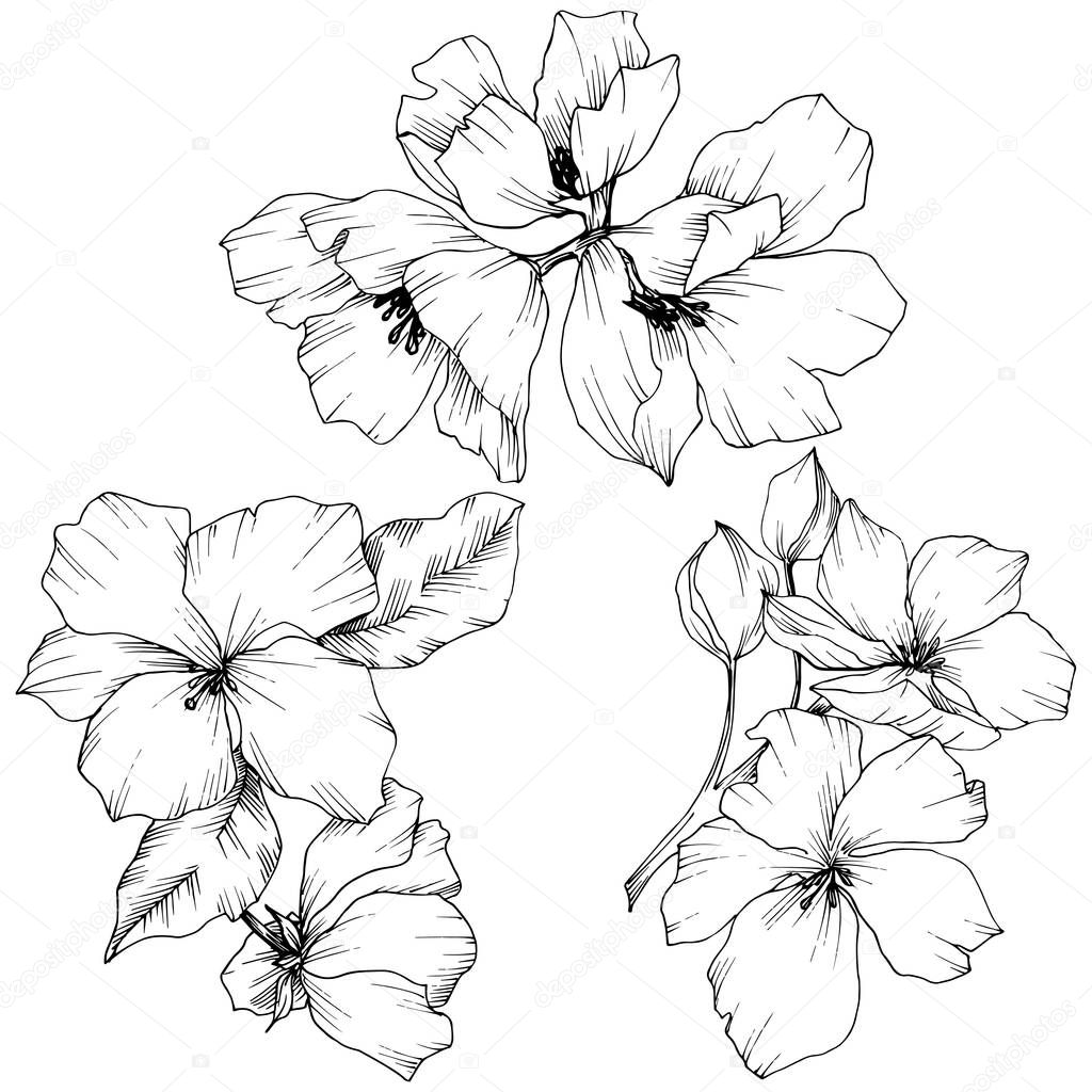 Vector Appe Blossom Flowers Black And White Engraved Ink Art Wild Spring Leaf Isolated Apple Blossom Flowers Illustration Element Larastock