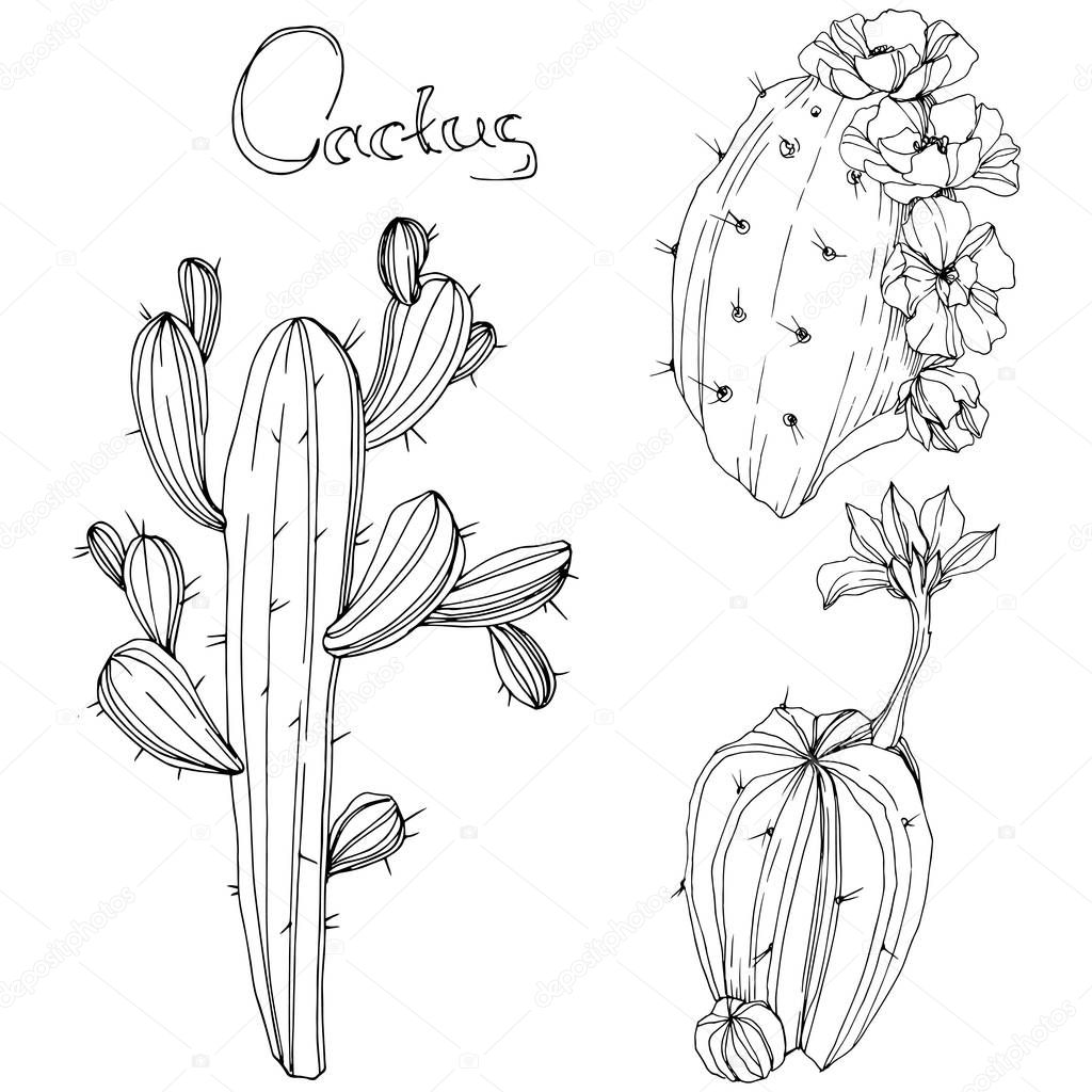 MyStocks