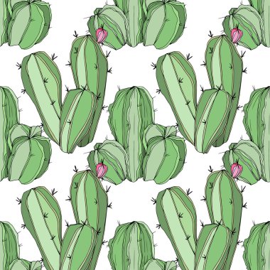 Vektör kaktüs. Yeşil mürekkep sanat kazınmış. Sorunsuz arka plan deseni. Kumaş duvar kağıdı yazdırma doku.