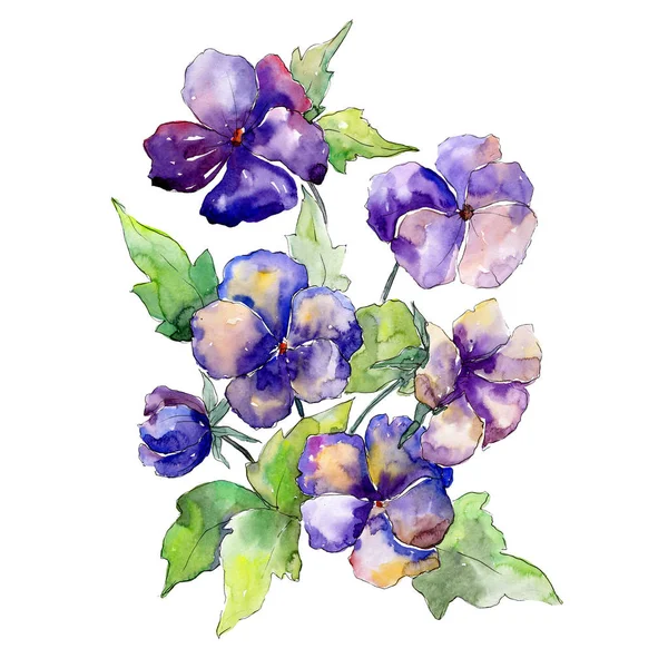 紫色中提琴花花束 白色背景上的花植物学花 青花春叶野花 水彩插图集 被隔绝的花束例证元素 — 图库照片