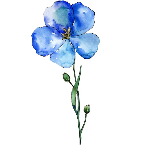 Блакитна льонова квітка з зеленим листям і бруньками. Ізольований елемент ілюстрації льону. Набір акварельних фонів . — стокове фото