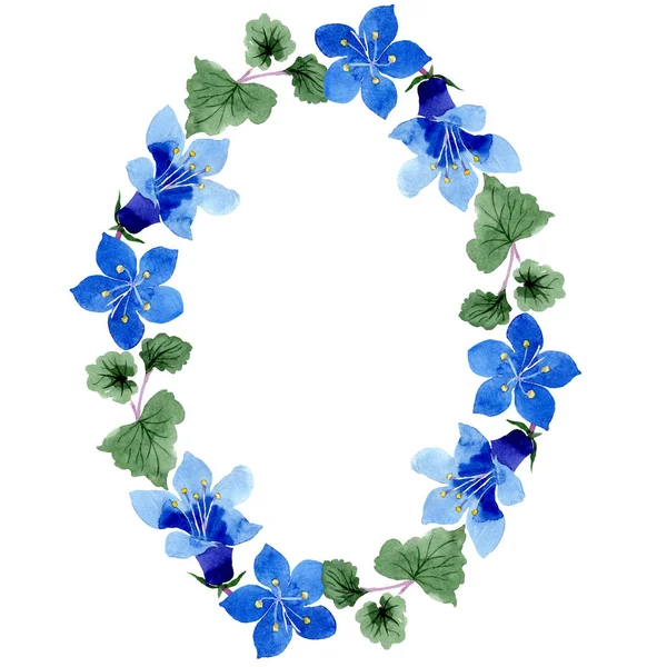 Mavi phacelia çiçek. Yaprak yeşil kır çiçeği. Suluboya arka plan illüstrasyon küme. Çerçeve çiçek çelenk.