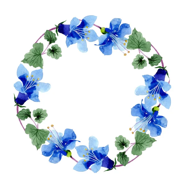 Blauwe phacelia bloem. Groene blad wildflower. Aquarel achtergrond afbeelding instellen. Frame bloemen krans. — Stockfoto