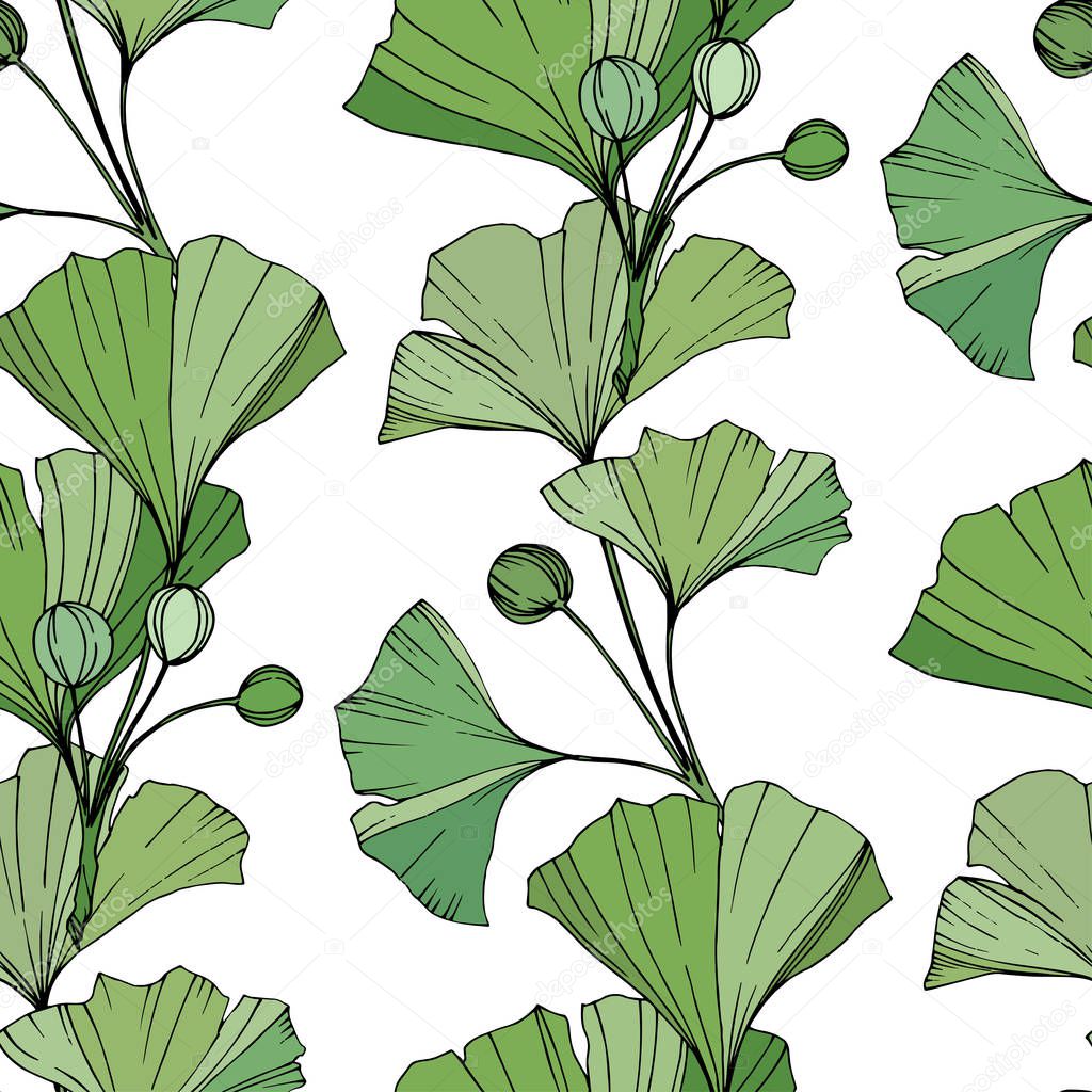 Vector. Green ginkgo leaf. Seamless background pattern. Fabric wallpaper print texture on white background.