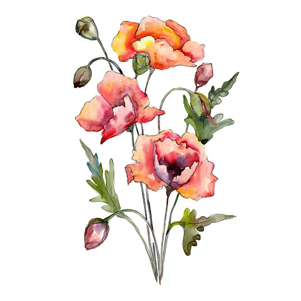 Mazzo di fiori di poppi rossi. Acquerello sfondo illustrazione set. Acquerello isolato elemento bouquet . — Foto Stock