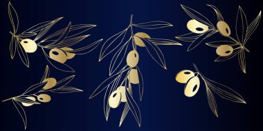 Golden zeytin dalı vektör. Bitki botanik yeşillik. Altın işlemeli mürekkep sanat. Zeytin illüstrasyon izole öğesi.