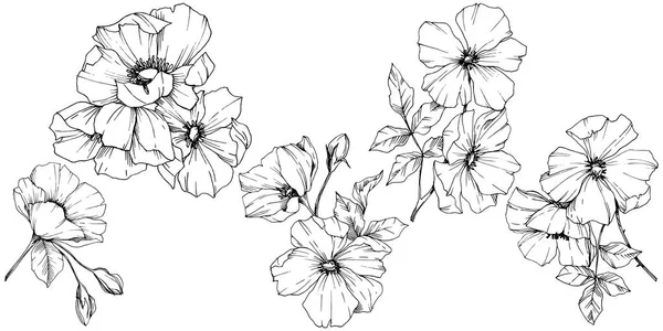 Vector Rosa flor de canina. Tinta grabada en blanco y negro. Elemento aislado rosa canina ilustración . — Vector de stock