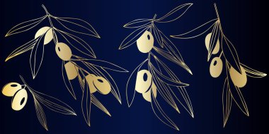 Golden zeytin dalı vektör. Bitki botanik yeşillik. Altın işlemeli mürekkep sanat. Zeytin illüstrasyon izole öğesi.