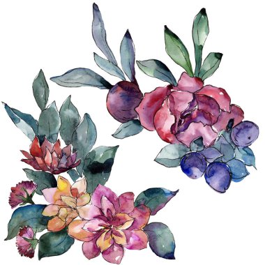 Buket botanik çiçek. Vahşi bahar yaprak izole kır çiçeği. Suluboya arka plan illüstrasyon küme. Suluboya çizim moda aquarelle izole. İzole buket illüstrasyon öğesi.
