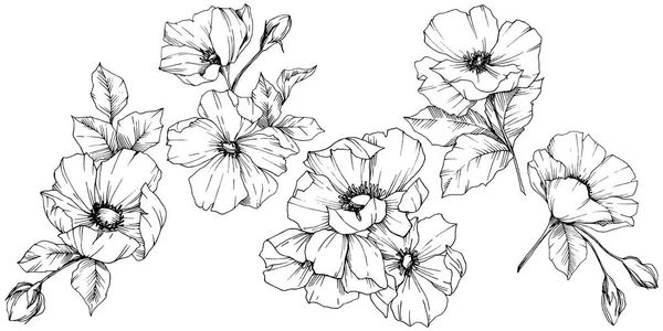 Vector Rosa flor de canina. Tinta grabada en blanco y negro. Elemento aislado rosa canina ilustración . — Archivo Imágenes Vectoriales