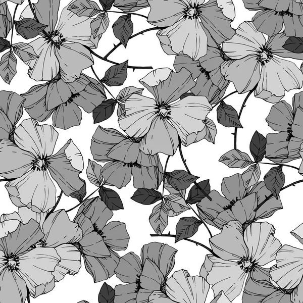 ロサ ・ カニナ花をベクトルします。刻まれたインク アート。シームレスな背景パターン。壁紙印刷手触りの生地. — ストックベクタ