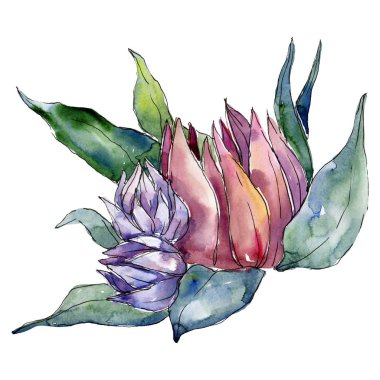 Kırmızı ve mor çiçek buketi. Suluboya arka plan illüstrasyon küme. Suluboya çizim moda aquarelle izole.