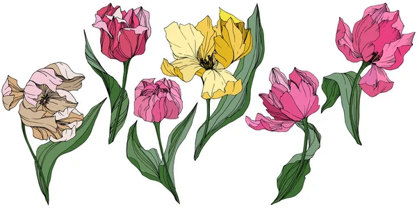 벡터 튤립 잉크 아트를 새겨져 있다. 꽃 식물 꽃입니다. 봄 잎 플라워입니다. 격리 된 튤립 그림 요소. — 스톡 벡터