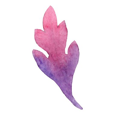 Mor pembe yaprak. Botanik çiçek. Suluboya arka plan illüstrasyon küme. İzole yaprak illüstrasyon öğesi.