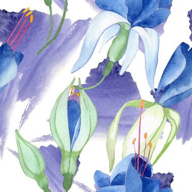 Mavi Fuşya. Botanik çiçek. Suluboya çizim moda aquarelle izole. Sorunsuz arka plan deseni.