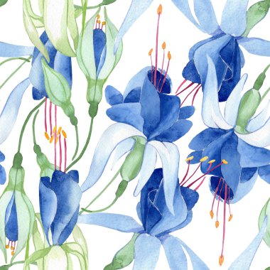 Mavi Fuşya. Botanik çiçek. Suluboya çizim moda aquarelle izole. Sorunsuz arka plan deseni.