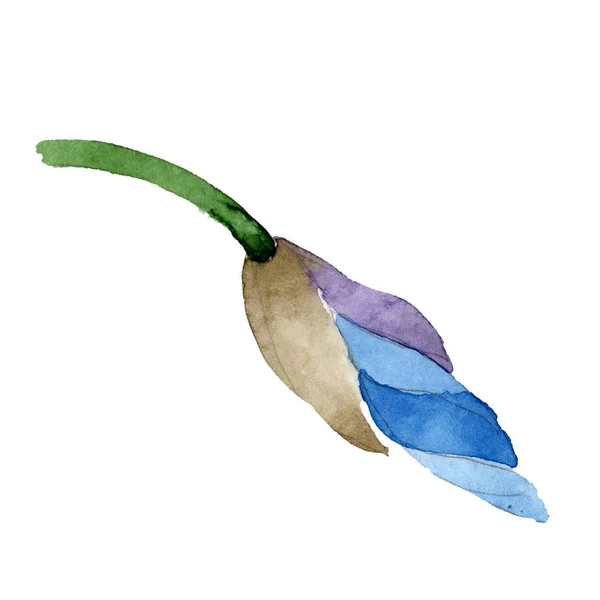 ブルー アイリス。花植物の花。水彩画背景イラスト セット。solated 飾りの図要素. — ストック写真