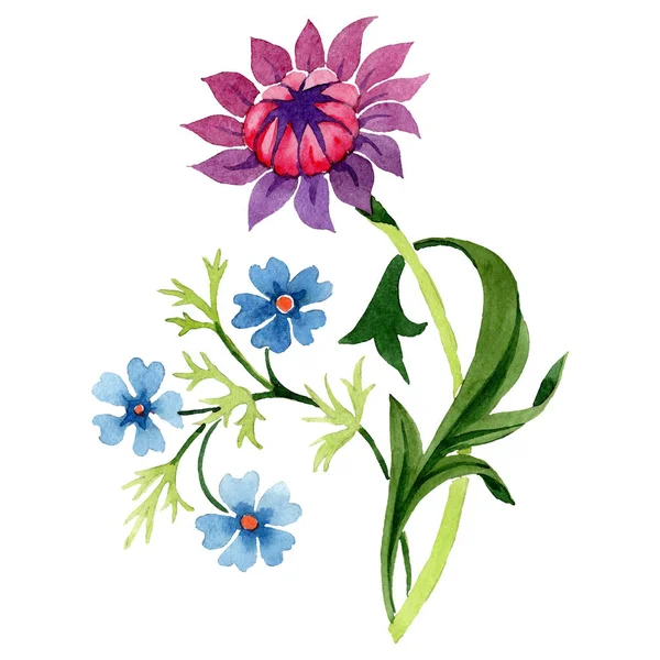 퍼플과 블루 꽃 식물 꽃입니다. 수채화 배경 그림 설정 합니다. 격리 된 장식 그림 요소. — 스톡 사진