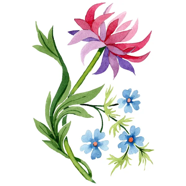 퍼플과 블루 꽃 식물 꽃입니다. 수채화 배경 그림 설정 합니다. 격리 된 장식 그림 요소. — 스톡 사진