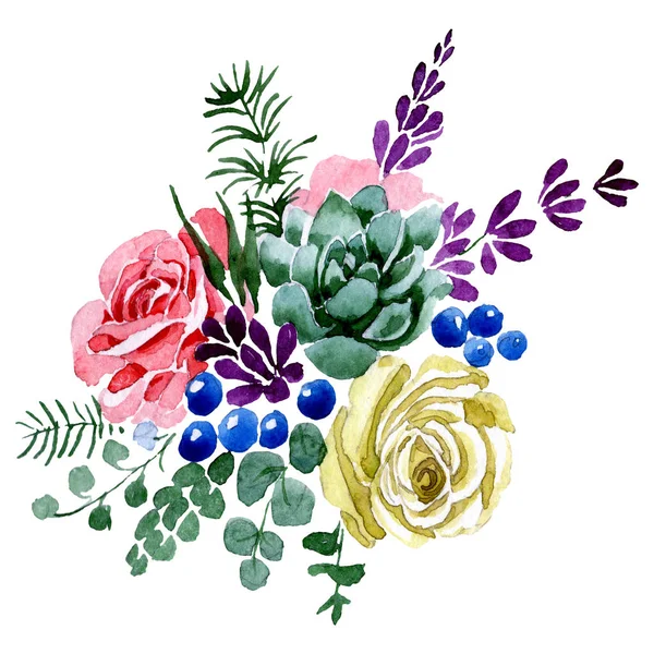 Flores de ramo suculentas y rosas. Conjunto de ilustración de fondo acuarela. Elemento de ilustración de ramo aislado . — Foto de Stock