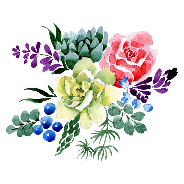 Flores de ramo suculentas y rosas. Conjunto de ilustración de fondo acuarela. Elemento de ilustración de ramo aislado . — Foto de Stock
