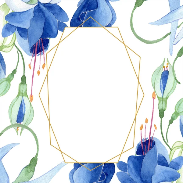 블루 자홍색입니다. 꽃 식물 꽃입니다. 수채화 그리기 패션 해당 격리입니다. 프레임 테두리 장식 스퀘어. — 스톡 사진