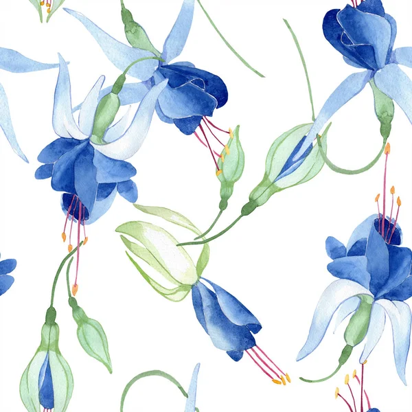 Blaue Fuchsie. Blütenbotanische Blume. Aquarellzeichnung Modeaquarell isoliert. nahtloses Hintergrundmuster. — Stockfoto