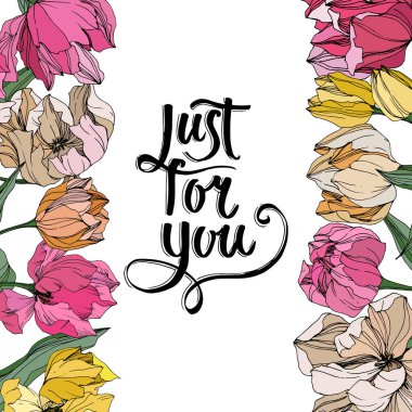 Vektör Tulip mürekkep sanat kazınmış. Botanik çiçek. Bahar yaprak izole kır çiçeği. Çerçeve kenarlığı süsleme Meydanı.