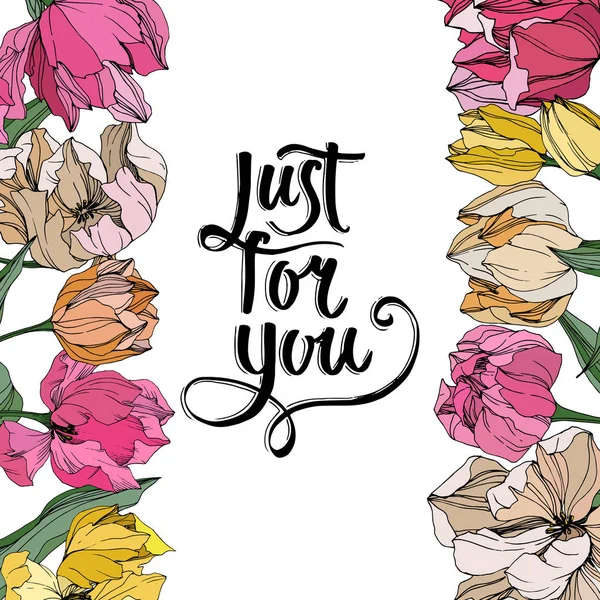 Vektör Tulip mürekkep sanat kazınmış. Botanik çiçek. Bahar yaprak izole kır çiçeği. Çerçeve kenarlığı süsleme Meydanı.