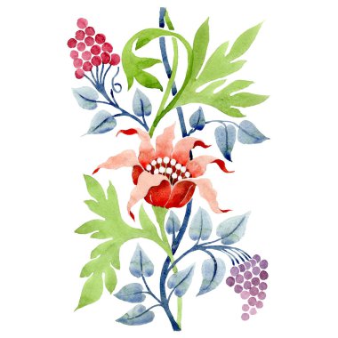 Kırmızı botanik çiçek. Suluboya arka plan illüstrasyon küme. İzole süsleme illüstrasyon öğesi.