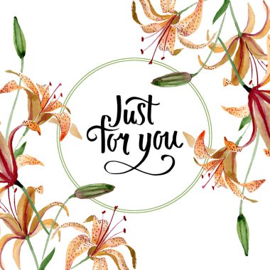 Turuncu lilyum botanik çiçek. Suluboya arka plan illüstrasyon küme. Çerçeve kenarlığı süsleme Meydanı.