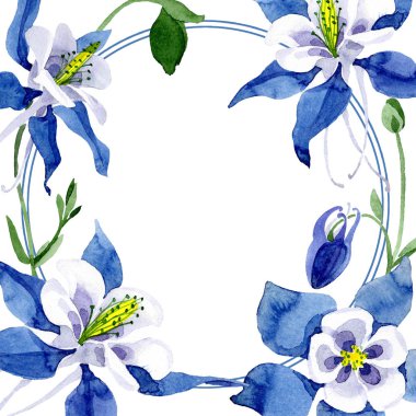 Mavi aquilegia botanik çiçek. Suluboya arka plan illüstrasyon küme. Çerçeve kenarlığı süsleme Meydanı.