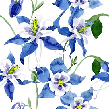 Mavi aquilegia botanik çiçek. Suluboya arka plan illüstrasyon küme. Sorunsuz arka plan deseni.