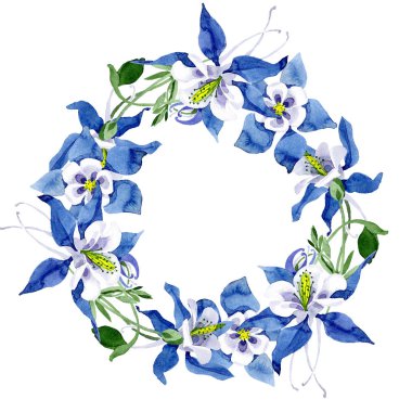 Mavi aquilegia botanik çiçek. Vahşi bahar yaprak izole kır çiçeği. Suluboya arka plan illüstrasyon küme. Suluboya çizim moda aquarelle izole. Çerçeve kenarlığı süsleme Meydanı.