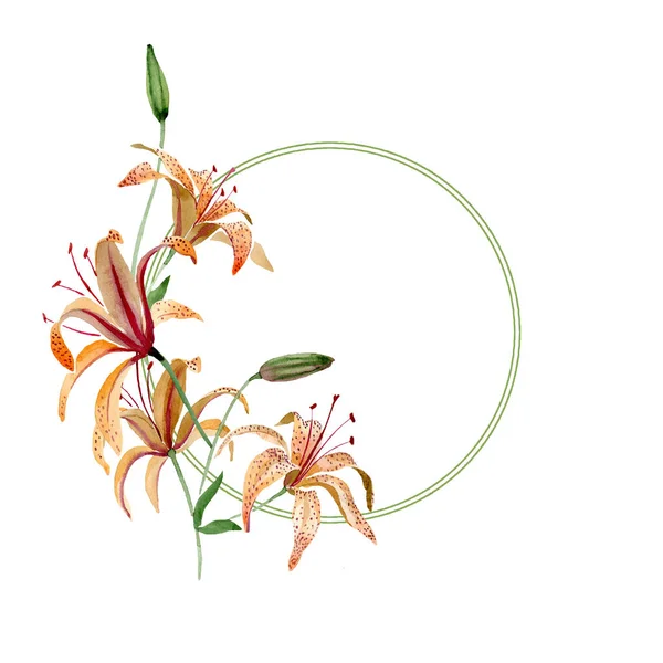 오렌지 나리속 꽃 식물 꽃입니다. 수채화 배경 그림 설정 합니다. 프레임 테두리 장식 스퀘어. — 스톡 사진
