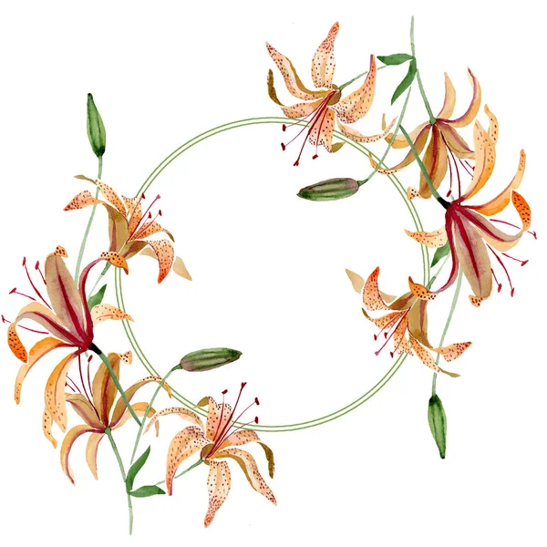 Flor botánica floral de lirio naranja. Conjunto de ilustración de fondo acuarela. Marco borde ornamento cuadrado . — Foto de Stock