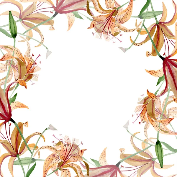 橘子百合花植物花。水彩背景插图集。框架边框装饰正方形. — 图库照片