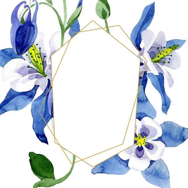 Blaue Aquilegia Blumen botanische Blume. Aquarell Hintergrundillustration Set. Rahmen Rand Ornament Quadrat. — Stockfoto