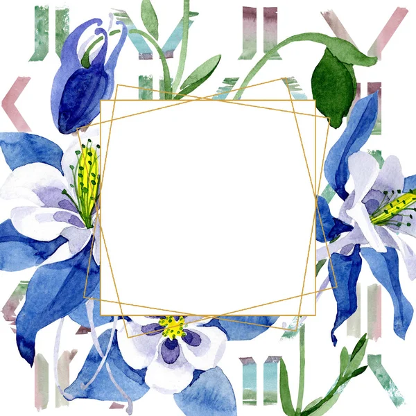 Azul aquilegia flor botânica floral. Conjunto de ilustração de fundo aquarela. Quadro borda ornamento quadrado . — Fotografia de Stock