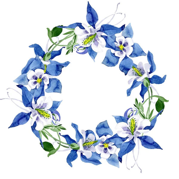 青いオダマキの花植物花 野生春葉のワイルドフラワーが分離されました 水彩画背景イラスト セット 水彩描画のファッション Aquarelle 分離します フレーム枠飾りスクエア — ストック写真