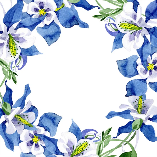 Modrá aquilegia květinové botanické květin. Sada akvarel pozadí obrázku. Frame hranice ozdoba náměstí. — Stock fotografie