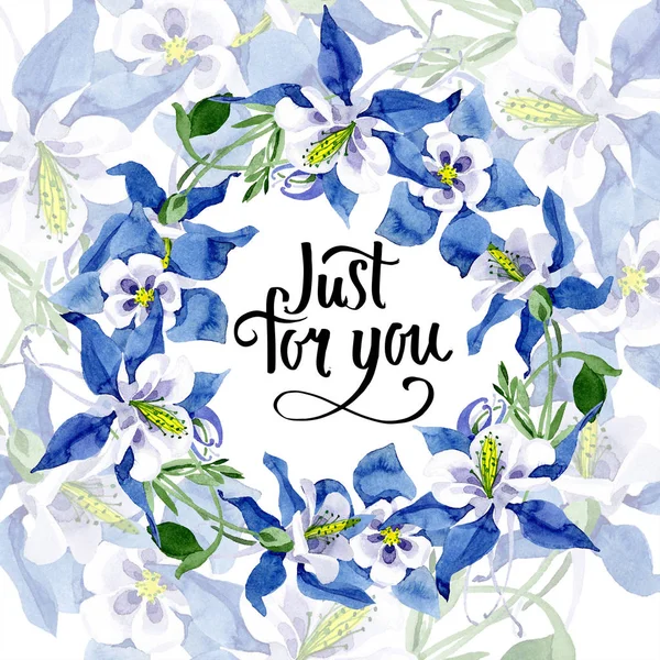 Azul aquilegia flor botânica floral. Conjunto de ilustração de fundo aquarela. Quadro borda ornamento quadrado . — Fotografia de Stock